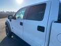 Ford F 150 F150 RAPTOR SVT 6.2-V8 Carte Grise Francaise Blanco - thumbnail 26