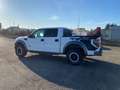 Ford F 150 F150 RAPTOR SVT 6.2-V8 Carte Grise Francaise Blanco - thumbnail 6
