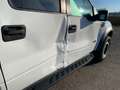Ford F 150 F150 RAPTOR SVT 6.2-V8 Carte Grise Francaise Blanco - thumbnail 10