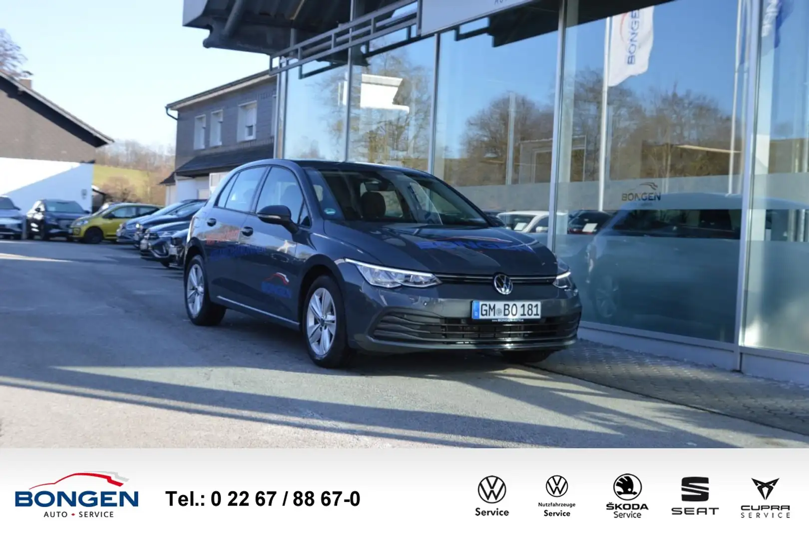 Volkswagen Golf VIII 1.0 Life Apple Car Play Sitzhzg. LED Klima Grau - 1