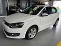 Volkswagen Polo Polo V 2009 5p 1.2 tdi Trendline Bianco - thumbnail 1
