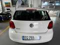 Volkswagen Polo Polo V 2009 5p 1.2 tdi Trendline Bianco - thumbnail 6