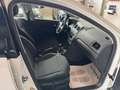 Volkswagen Polo Polo V 2009 5p 1.2 tdi Trendline Bianco - thumbnail 11