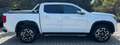 Volkswagen Amarok Amarok 3.0 V6 TDI 241CV 4MOTION aut. Aventura Weiß - thumbnail 3