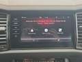 Skoda Kodiaq RS 4x4 STANDHZ PANO LEDER MATRIX ACC DCC Gris - thumbnail 19