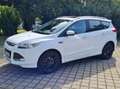 Ford Kuga 2.0 TDCi 4x4 SYNC Weiß - thumbnail 1