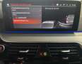 BMW 530 d xDrive Luxury LED/HeadUP/STDHZ/RKam/Massage Grau - thumbnail 12
