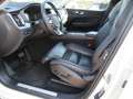 Volvo XC60 2.0 D4 AWD Inscription Geartronic Weiß - thumbnail 11