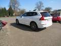 Volvo XC60 2.0 D4 AWD Inscription Geartronic Weiß - thumbnail 7