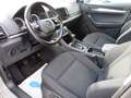 Skoda Karoq Ambition 1.0TSI 85kW AHK SHZ KLIMA Gris - thumbnail 12