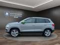 Skoda Karoq 2.0 TDI Style KAMERA*NAVI*STANDZ.*AHK Klima Navi Grau - thumbnail 8
