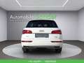 Audi Q5 40 TDI quattro sport S-tronic Weiß - thumbnail 8