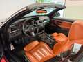 BMW 435 i Cabrio xDrive M-Paket/HUD/Keyless-GO/H&K Black - thumbnail 11