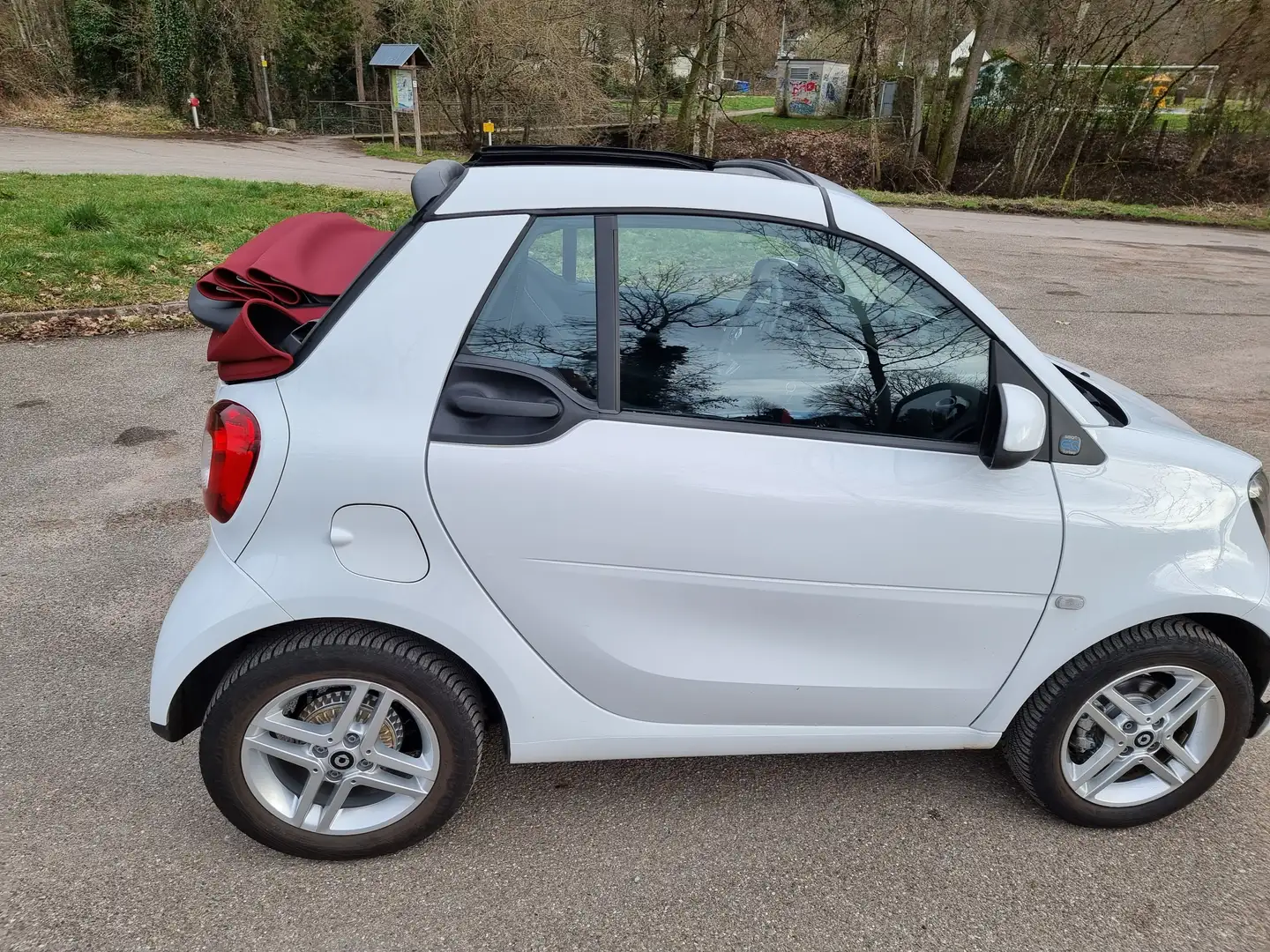 smart forTwo smart fortwo cabrio EQ Weiß - 1