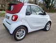 smart forTwo smart fortwo cabrio EQ Weiß - thumbnail 6