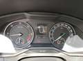 Skoda Superb Superb wagon 2.0 tdi Executive 4x4 190cv dsg 7m Grigio - thumbnail 11