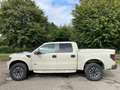 Ford F 150 6.2i V8 SVT Beige - thumbnail 6