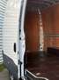 Iveco Daily V (2) 3.0 35C18HA8 V12 H3 176cv Blanc - thumbnail 4