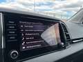 Skoda Karoq 4x4 Selection TDI DSG Silber - thumbnail 25