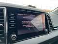 Skoda Karoq 4x4 Selection TDI DSG Silber - thumbnail 20