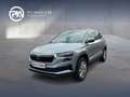 Skoda Karoq 4x4 Selection TDI DSG Silber - thumbnail 1