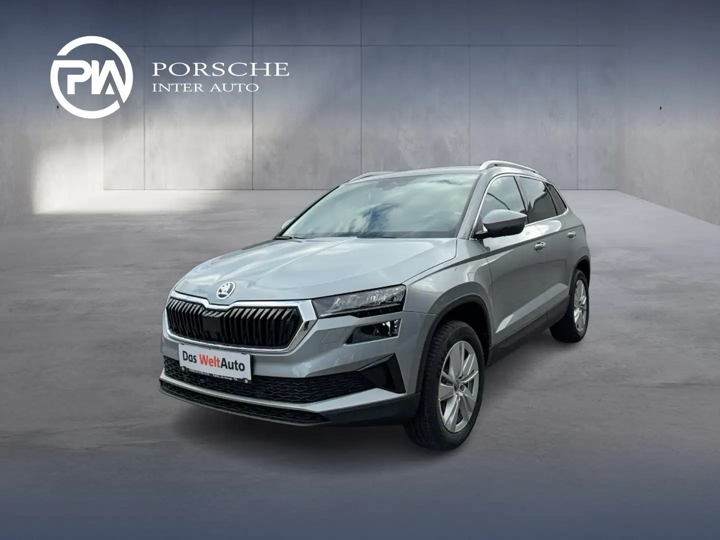 Skoda Karoq 4x4 Selection TDI DSG Silber - 1