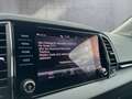 Skoda Karoq 4x4 Selection TDI DSG Silber - thumbnail 48
