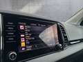 Skoda Karoq 4x4 Selection TDI DSG Silber - thumbnail 49