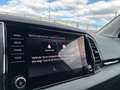 Skoda Karoq 4x4 Selection TDI DSG Silber - thumbnail 23