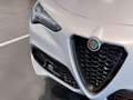 Alfa Romeo Stelvio 2.2 t Competizione Q4 210cv NUOVA DA IMMATRICOLARE Grijs - thumbnail 14