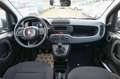 Fiat Panda 1.0 FireFly S&S Hybrid Pop Blue - thumbnail 11