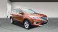 Ford Kuga 1.5 TDCI 88KW BUSINESS 2WD 120 5P Marrón - thumbnail 3