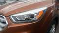 Ford Kuga 1.5 TDCI 88KW BUSINESS 2WD 120 5P Marrón - thumbnail 18