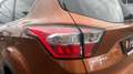 Ford Kuga 1.5 TDCI 88KW BUSINESS 2WD 120 5P Marrón - thumbnail 19