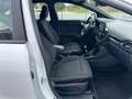 Ford Puma Puma II 2020 1.0 ecoboost h ST-Line X s Bianco - thumbnail 9