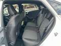 Ford Puma Puma II 2020 1.0 ecoboost h ST-Line X s Bianco - thumbnail 7