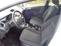Ford Fiesta Trend, 1.Hand,Klima, nur 17TKM Weiß - thumbnail 8