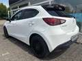 Mazda 2 1.5 SKYACTIV-G 90 Kizoku *Tempomat*Navi*Klima* Blanc - thumbnail 4