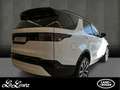 Land Rover Discovery 5 D250 Dynamic SE AHK -Winterpaket - Pano Weiß - thumbnail 2