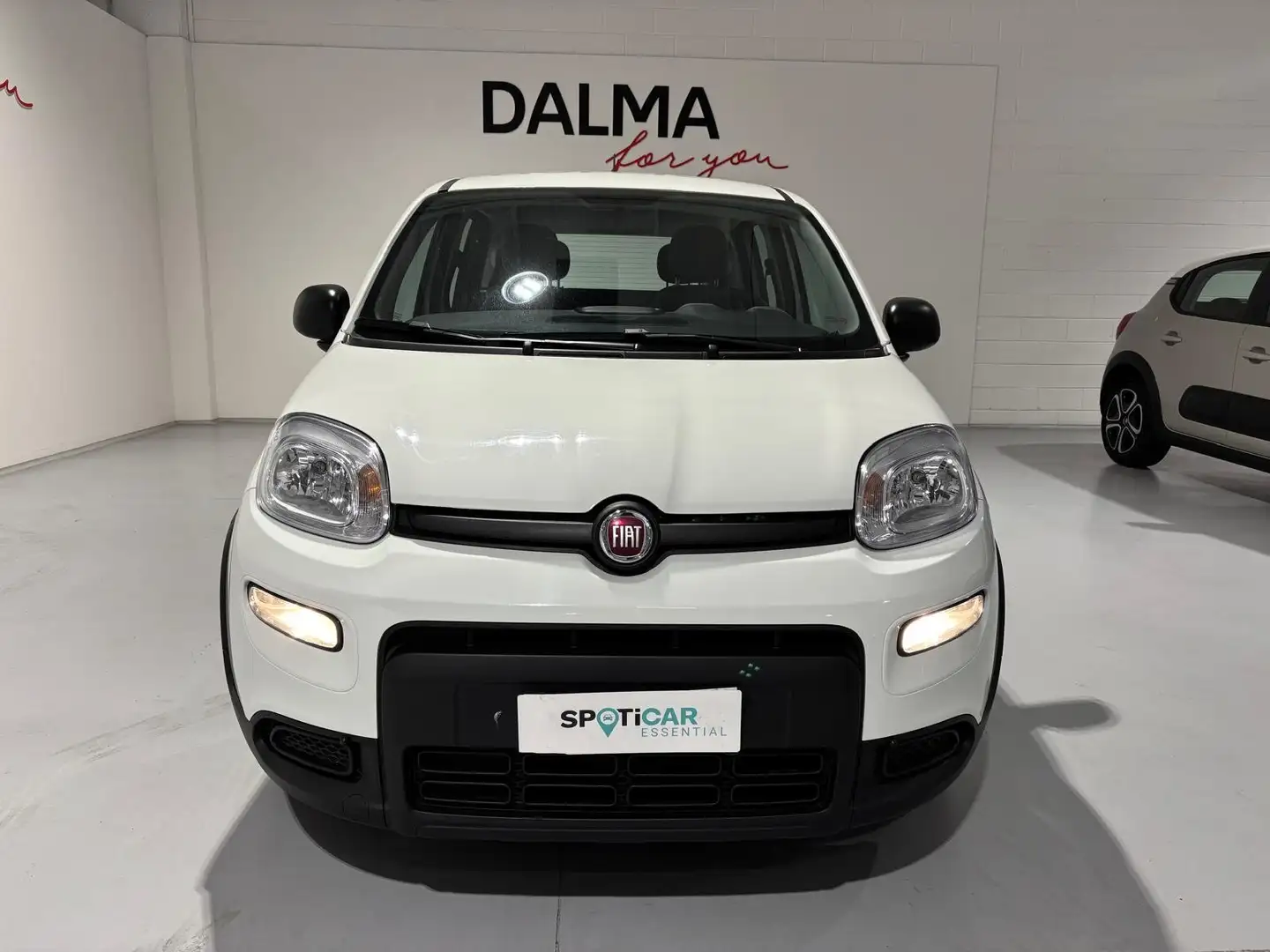 Fiat Panda 1.0 firefly hybrid City Cross s Bianco - 2