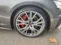 Audi S5 55 TDI q. Tiptr., Matrix Laser, Mas Grau - thumbnail 16