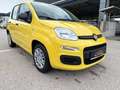 Fiat Panda 4x2 FireFly Hybrid 70 Pandina Gelb - thumbnail 4