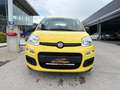 Fiat Panda 4x2 FireFly Hybrid 70 Pandina Gelb - thumbnail 3