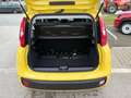 Fiat Panda 4x2 FireFly Hybrid 70 Pandina Gelb - thumbnail 9