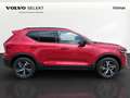 Volvo XC40 B4 Plus Aut. Rojo - thumbnail 3