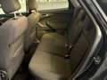 Ford Focus SW 1.6 tdci Titanium 116cv - thumbnail 7