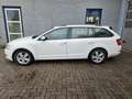 Skoda Octavia Combi 1.6 TDI Greenline Businessline Wit - thumbnail 8