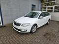 Skoda Octavia Combi 1.6 TDI Greenline Businessline Wit - thumbnail 1