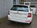 Skoda Octavia Combi 1.6 TDI Greenline Businessline Wit - thumbnail 16