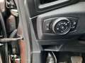 Ford EcoSport 1,0 Titanium AUTO  NAVI+CAM+Xenon Grau - thumbnail 9